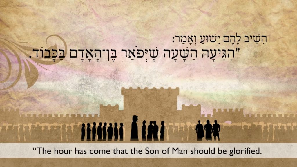 Israel Media Ministries | The Whole Gospel to All Israel